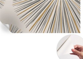 Fali fotótapéta Hálószobába Nappaliba Geometrikus legyezők 250x104 cm