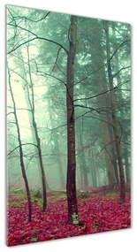 Üvegfotó Erdő ősszel osv-69969549