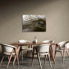 Üveg kép - Közelkép az öreg elefánt szeméről (70x50 cm)