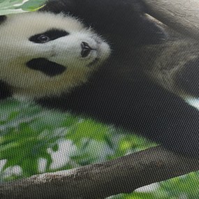Kép - Panda a fán (órával) (90x30 cm)
