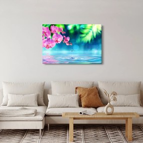 Kép - Orchidea (90x60 cm)