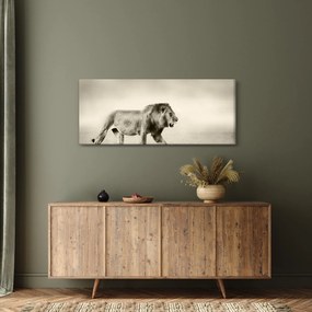 Kép - Az éhes oroszlán (120x50 cm)