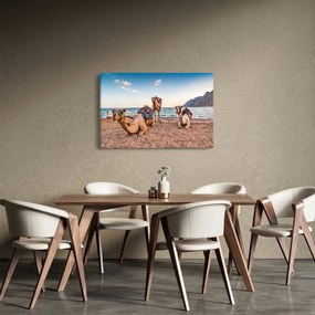 A tevék képe (90x60 cm)
