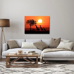 Zsiráfok képe naplementekor (70x50 cm)