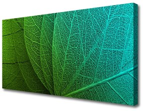 Vászonkép Abstract növényi levelek 100x50 cm