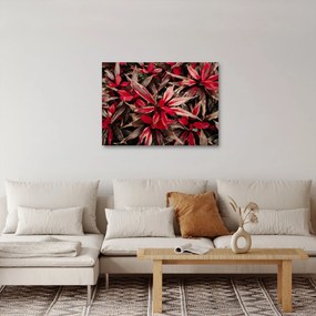 Piros szirmok képe (70x50 cm)
