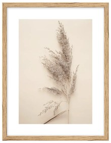 Kép 30x40 cm Grass – knor