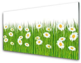 Akrilkép Grass Nature Daisies 100x50 cm 2 fogas