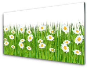 Akrilkép Grass Nature Daisies 125x50 cm