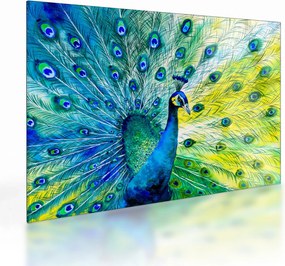 Páva képe (üvegen) (70x50 cm)