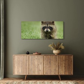 A mosómedve képe (120x50 cm)