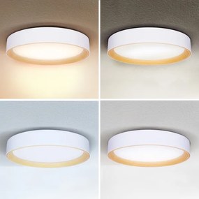 Brilagi -LED Dimmelhető lámpa LARIOS LED/60W/230V 3000-6500K ø 49 cm fehér + távirányító