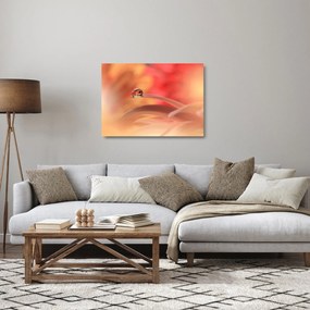 Virágos harmatcsepp képe (üvegen) (70x50 cm)