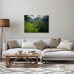 Kép a rizs teraszokról, Tegalalang, Bal (üvegen) (70x50 cm)