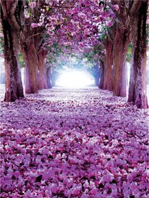 Fotótapéta Lila Virágos sikátor Álom alagút 184x254 vinil +ragasztó