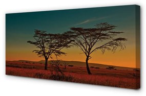 Canvas képek égbolt fák 140x70 cm