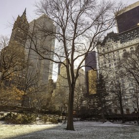 Poszter 60x60cm Központi park panorámával Alsó-Manhattan 2, Assaf Frank