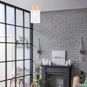 Mennyezeti lámpa ARI 1xE27/60W/230V á. 16 cm fehér