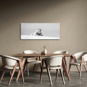 Kép - Jegesmedve, fekete-fehér (120x50 cm)