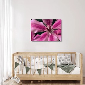 Rózsaszín flamingóvirág képe (üvegen) (70x50 cm)