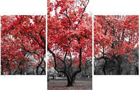 Kép - vörös fák, Central Park, New York (90x60 cm)