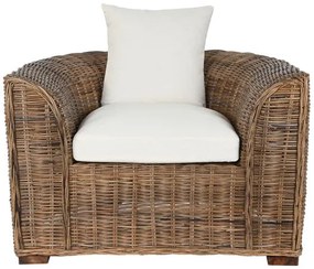 Rattan fotel karosszék pármákkal 100x78x68 cm