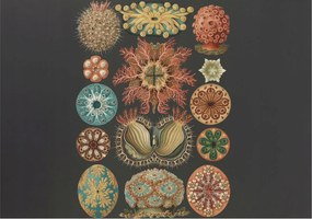 Fotótapéta Flizelin Fal a Hálószobába Tengeri inspirációk 208x146 Ragasztó