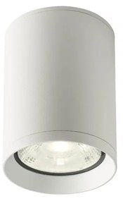 REDO-90341 XILO Fehér Színű Kültéri Mennyezeti Lámpa LED 18W IP54