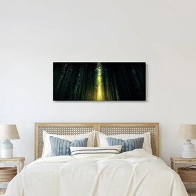 Sötét erdő képe (120x50 cm)