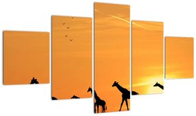 Modern kép - zsiráfok (125x70cm)