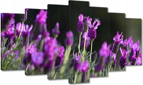 Vászonkép 140x80 Lila virágok