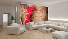 Fotótapéta - Tulipán, fa, szalag (152,5x104 cm)