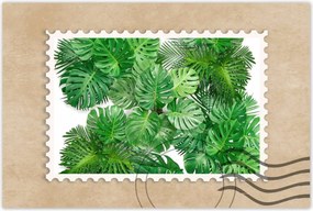 Poszterek 120x80 Monstera Lyukas levelek