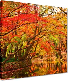 Vászonkép 40x40 Őszi tájkép folyóval