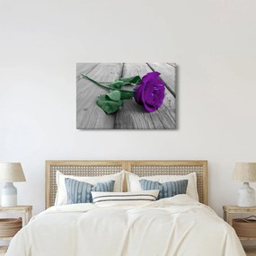 Kép - Lila rózsa zöld szárral (90x60 cm)