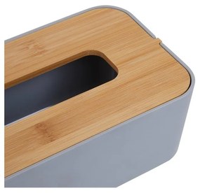 Műanyag zsebkendőtartó Canyon – Premier Housewares