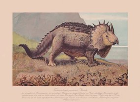 Illusztráció Triceratops prorsus, chromolithograph, published in 1900, ZU_09