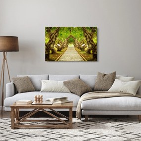 Kép - Plumeria élő alagútja (90x60 cm)