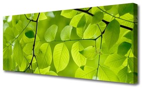 Vászonkép falra Elhagyja Plant 140x70 cm