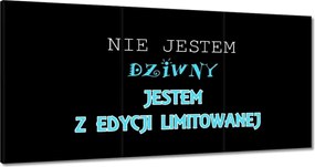 Festmények 180x90 Limitált kiadás