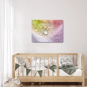 Üveg kép - Harmatcseppek (70x50 cm)