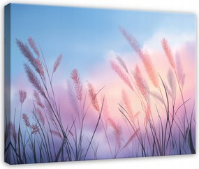 Vászonkép Pampas Fű Természet Tájkép A Nappali Hálószobájába Vászonkép 120x80