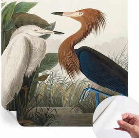 Öntapadós tapéta Fali furnér 3D hatás Madarak a növényekben 250x250 cm