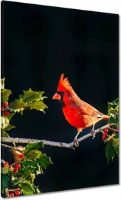 Vászonkép 70x100 Madarak