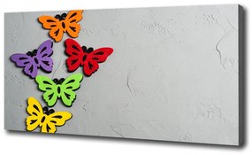 Vászonkép Színes pillangók oc-128188702