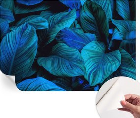 Dekoratív Öntapadós Tapéta Divatos Minták Kék levelek 104x70 cm