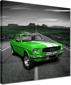 Vászonkép 30x30 Lime Mustang