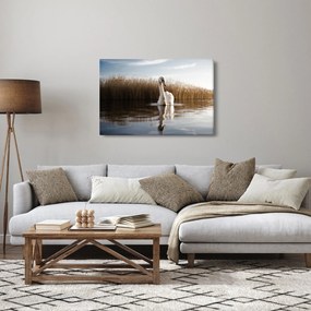 Hattyú képe (90x60 cm)