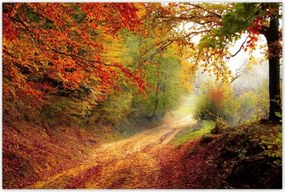Poszterek 120x80 Út az erdőben ősz
