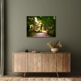 Park képe (70x50 cm)